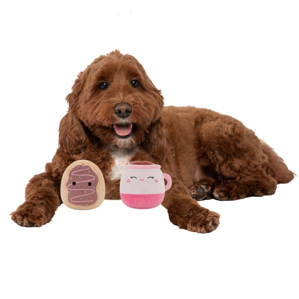 2-Pack Squeaky Plush Dog Toy (Cafe - Emery & Deja)
